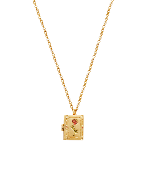 Secret Diary Locket Necklace