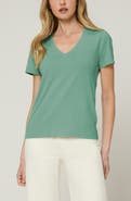 The Standard Stitch The Organic Cotton V-Neck Tee