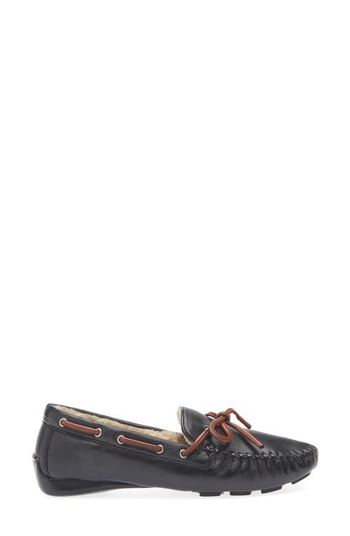 Robert Zur Bowie Faux Shearling Lined Driving Loafer In Black
