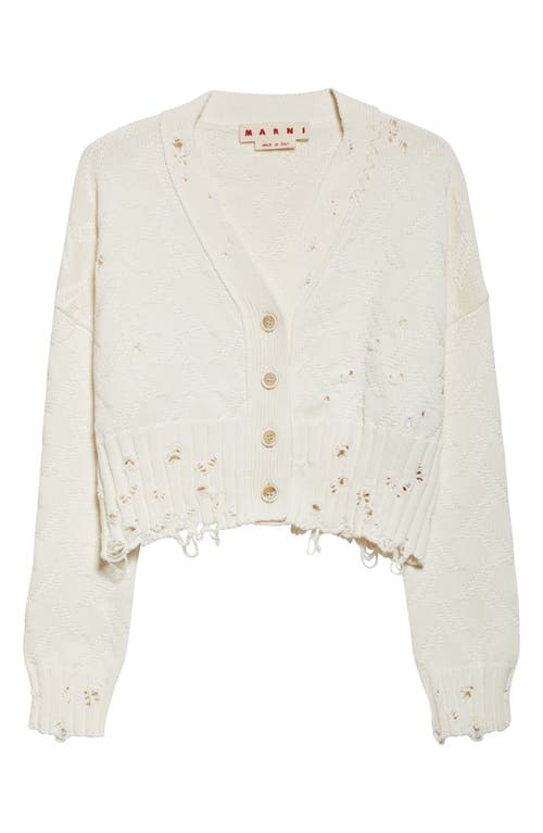 Marni Destroyed-effect Cropped Cardigan In White
