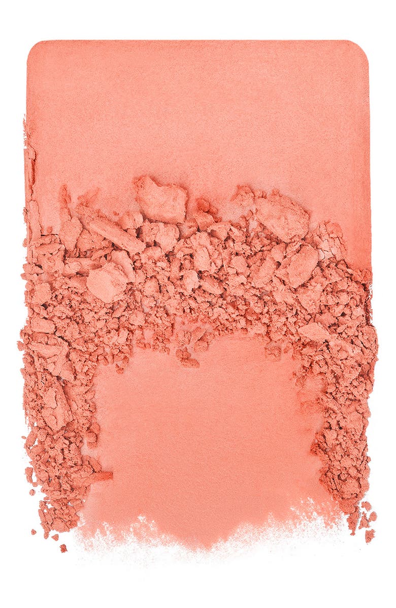 Artist Longwear Skin-fusing Powder Blush