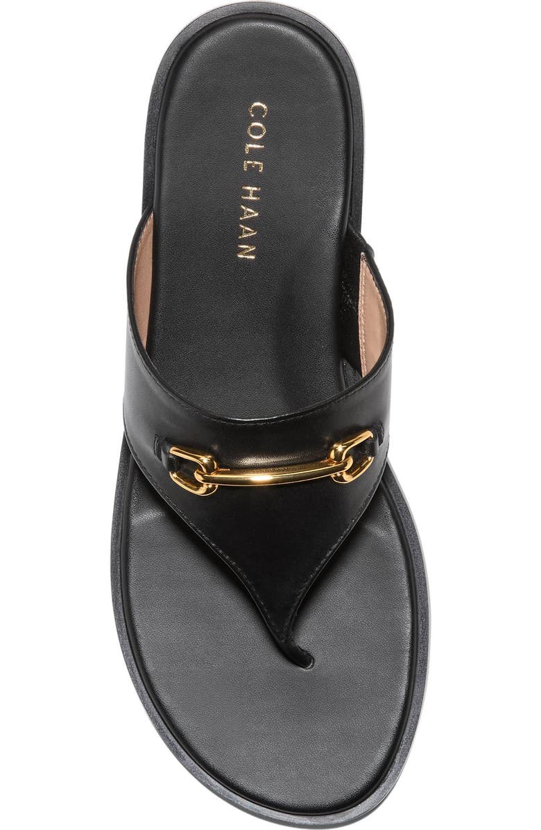 Cole Haan Flynn Thong Sandal, Alternate, color, Black Leather