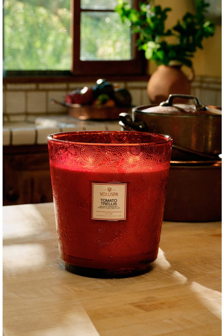 Tomato Trellis Five-Wick Hearth Candle, Alternate, color, TOMATO TRELLIS