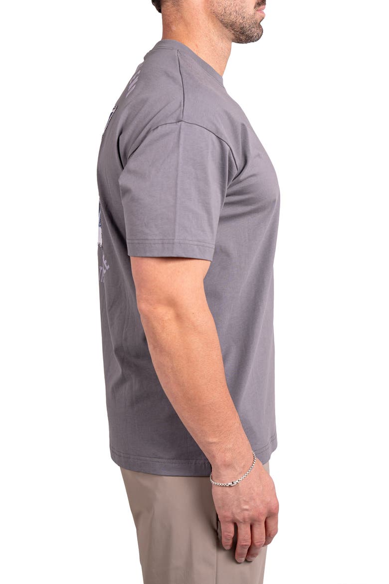 Ascension Rest Cotton Graphic T-Shirt, Alternate, color, GREY