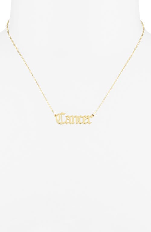 The Sis Kiss Zodiac Pendant Necklace In Gold