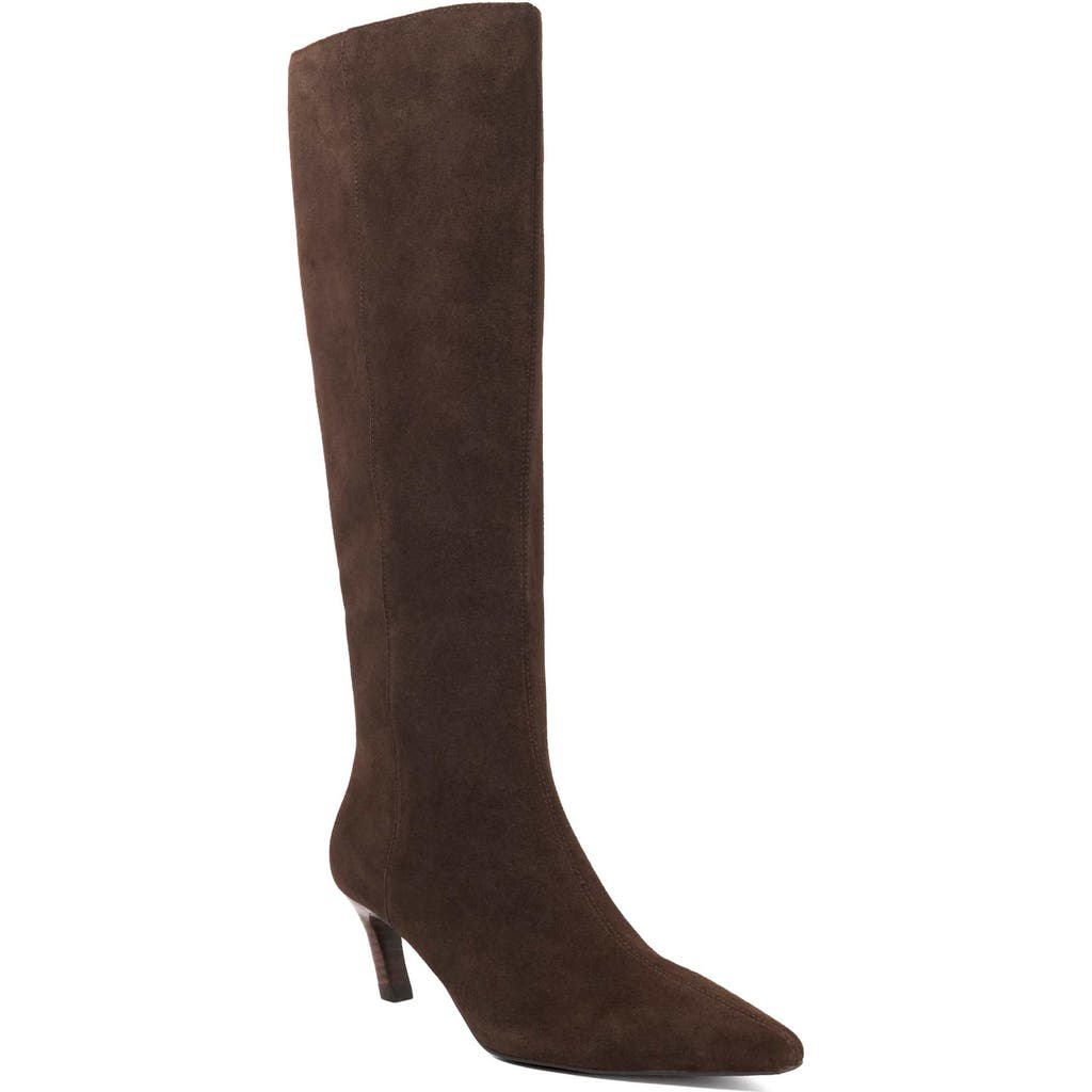 Dune London Siana Pointed Toe Knee High Boot In Brown