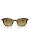 selected Tortoise Dark Brown / Green