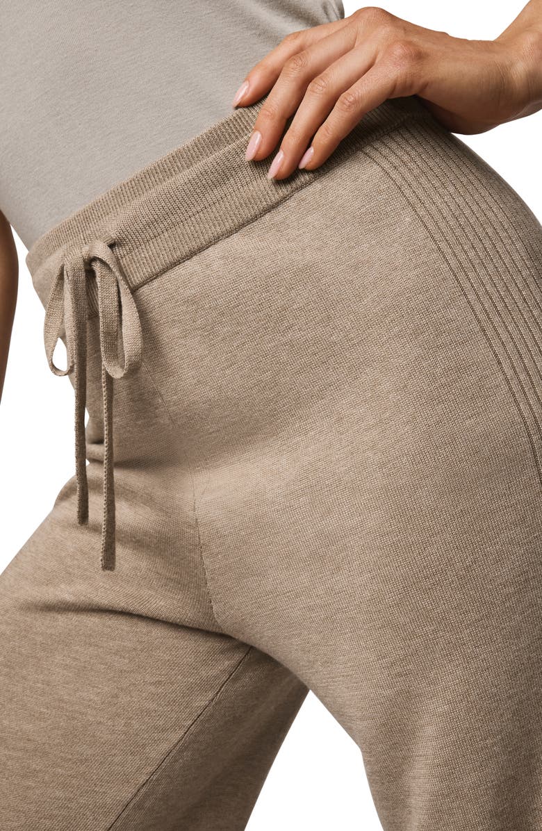 Splendid Georgie Full Length Pants, Alternate, color, Light Cedar Beige Heather