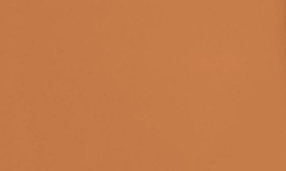 selected TAN 2