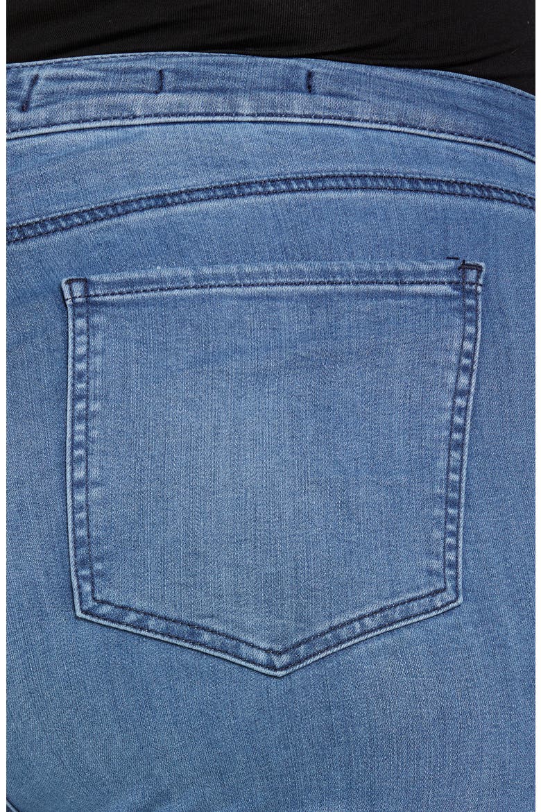 Marilyn Ankle Straight Leg Jeans, Alternate, color, TREMAINE