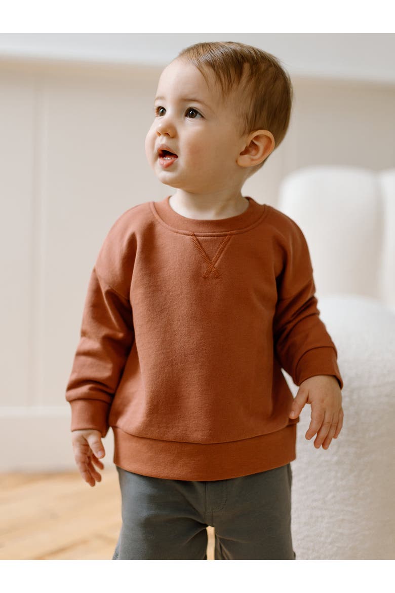 Quinn Organic French Terry Relaxed Pullover Sweatshirt, Alternate, color, Copper