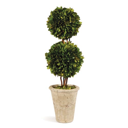 Napa Home & Garden 20in Double Sphere Topiary In Multi