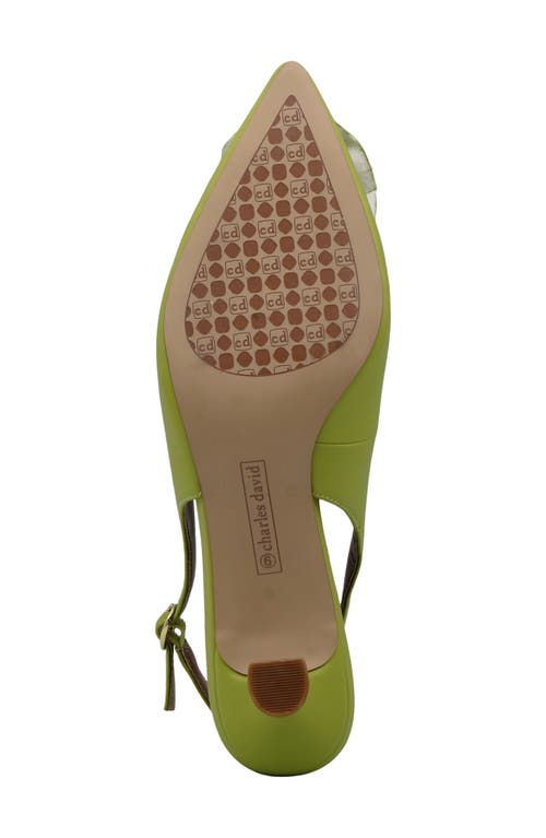 Charles David Azure Slingback Pump In Lime