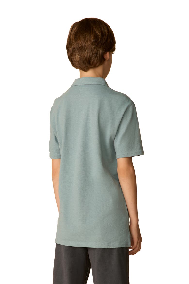 Kids' Sun Washed Organic Cotton Polo, Alternate, color, MOUNTAIN WIND STRIPE