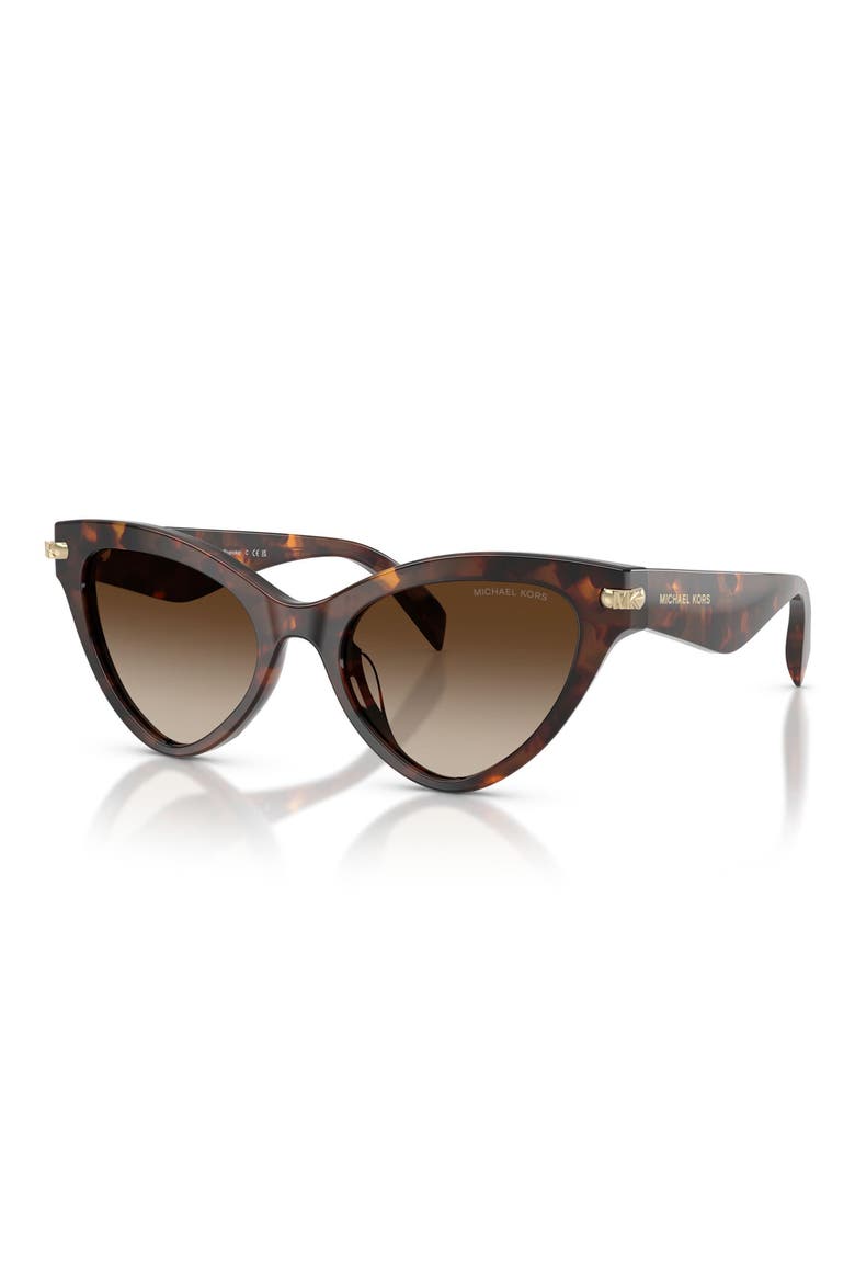 Roanoke 52mm Gradient Cat Eye Sunglasses, Alternate, color, LUGGAGE TORTOISE / SMOKE