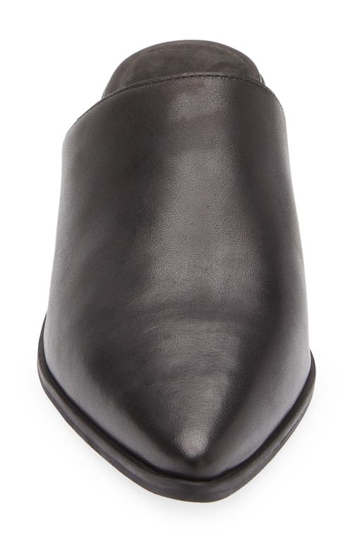 Chocolat Blu Cellia Pointed Toe Mule In Black