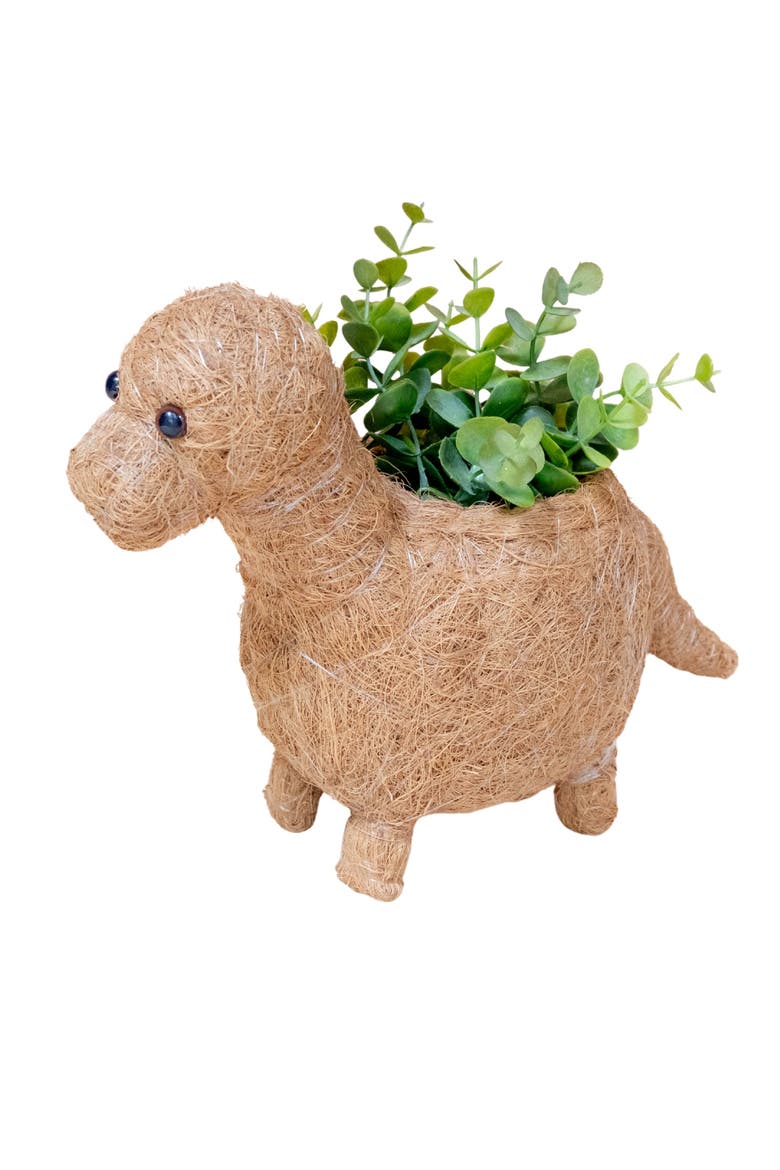 Dinosaur Coco Coir Planters, Main, color, Brown Baby Bronto