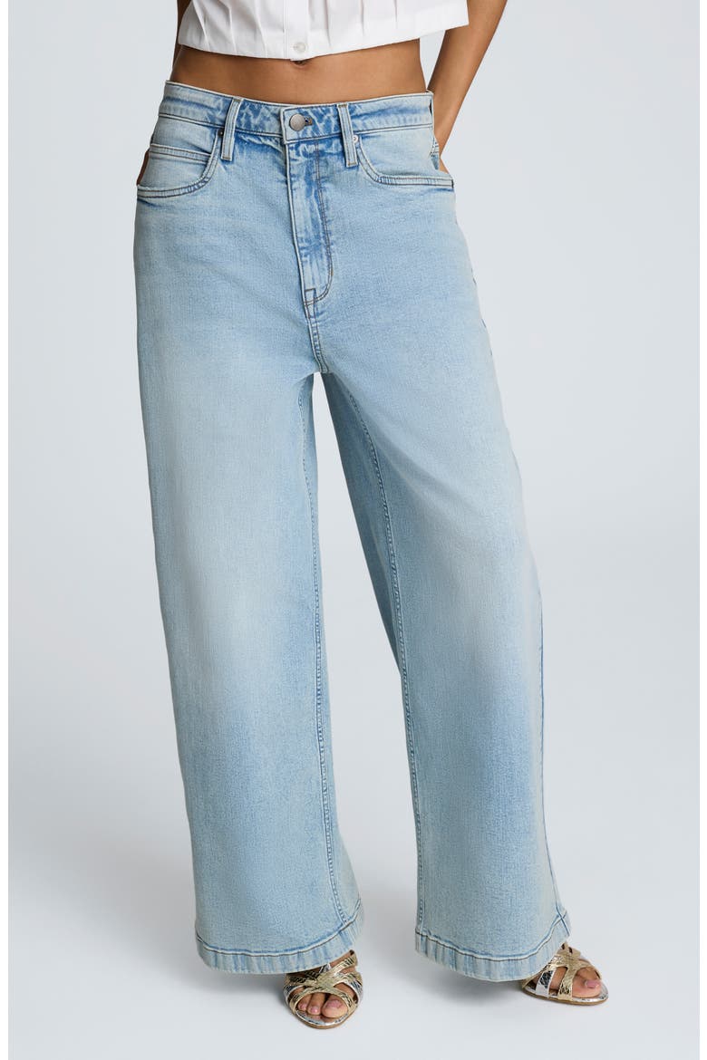 Low Rise Wide Leg Jeans, Main, color, VISTA WASH