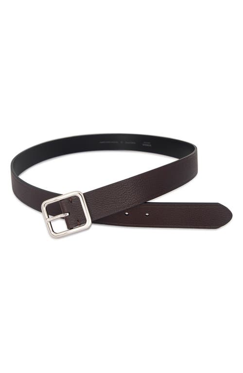 Vince Pebbled Leather Belt In Chocolate