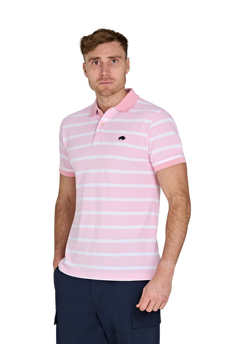 Birdseye Stripe Pique Polo, Alternate, color, Pink