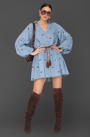 Tie Waist Long Sleeve Chambray Babydoll Dress