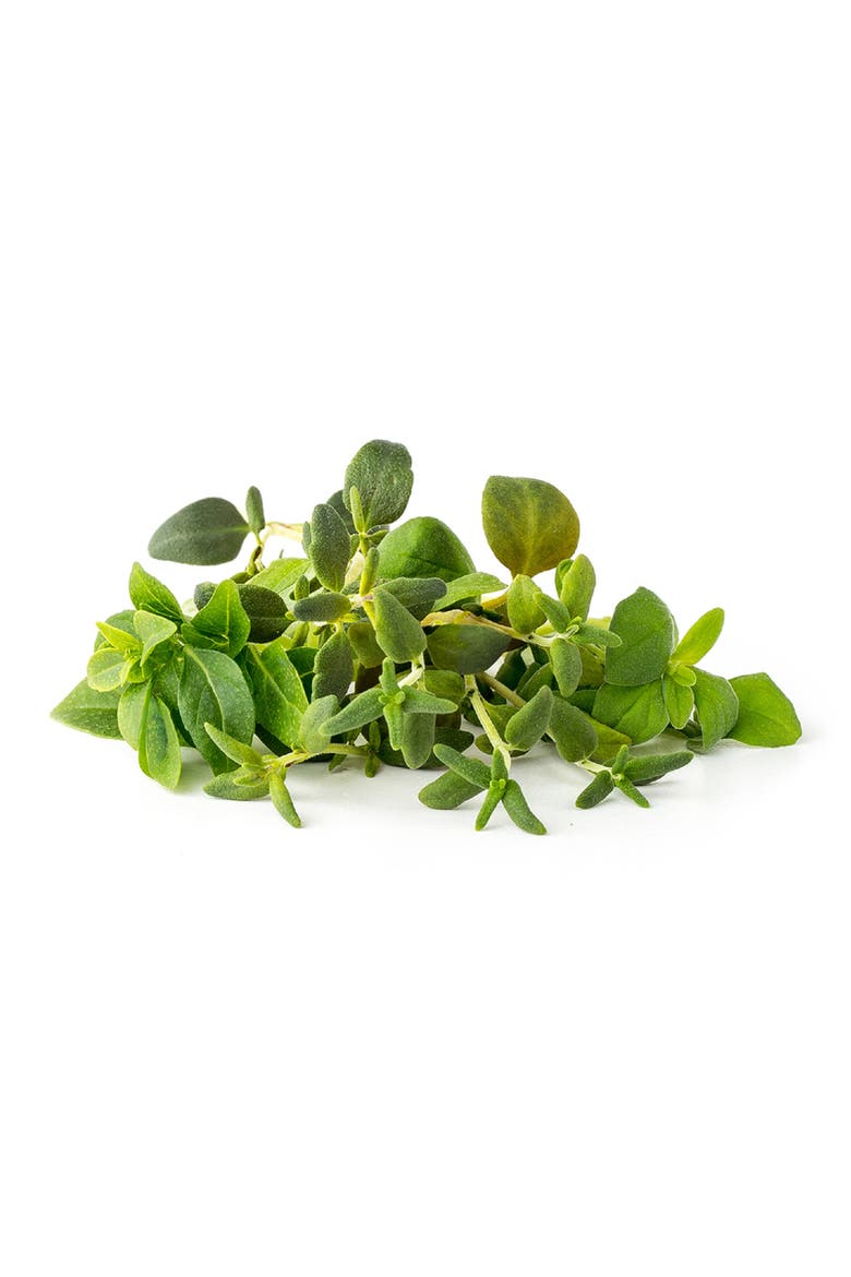 9-Pack Italian Herb Mix, Main, color, BROWN