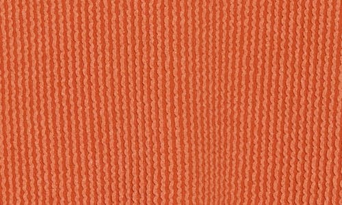 Renee C Women's Textured Knit Crop Top In Rust