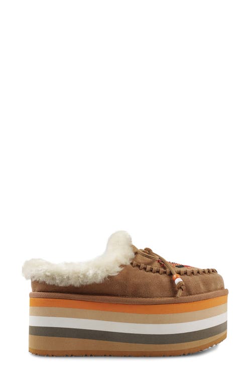 Zigi Birdy Faux Shearling Platform Slipper In Tan Suede