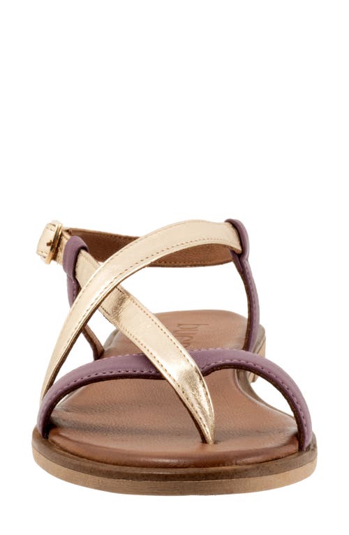 Bueno Harriot Ankle Strap Sandal