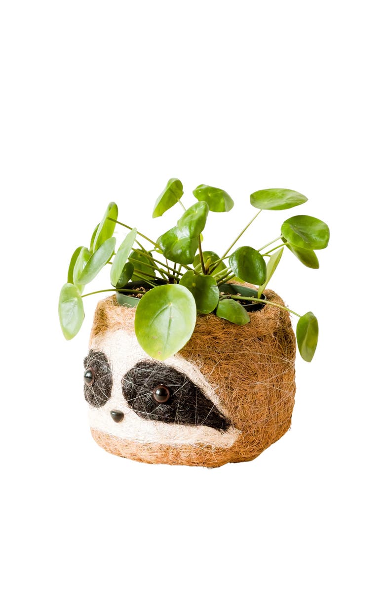 LIKHA Animal Head Coco Coir Planters, Alternate, color, Three-Tone