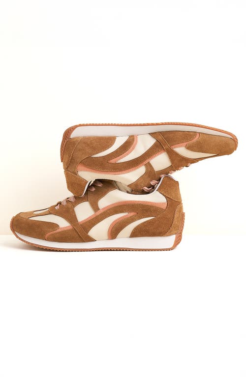 Charlotte Stone Hazel Sneaker In Brown