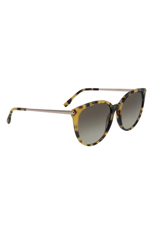 Lacoste 56mm Round Sunglasses In Multi