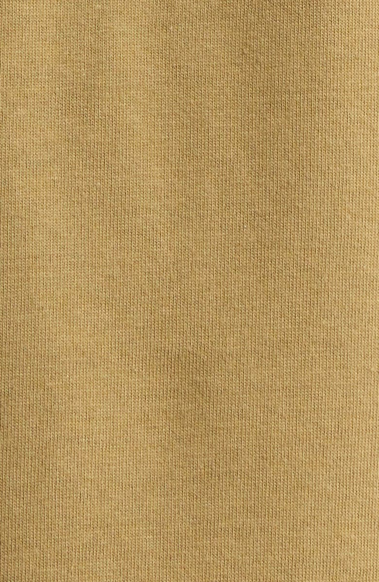 The North Face Places We Love - Denali Cotton Graphic T-Shirt, Alternate, color, Cedar