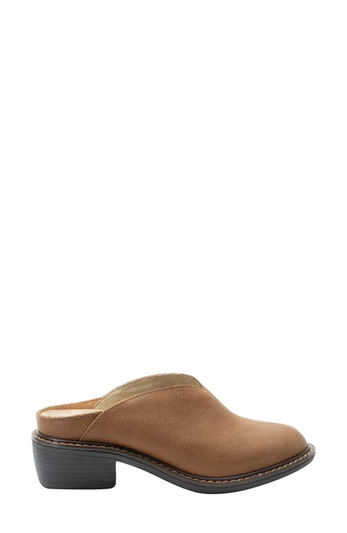 Alegria By Pg Lite Michy Mule