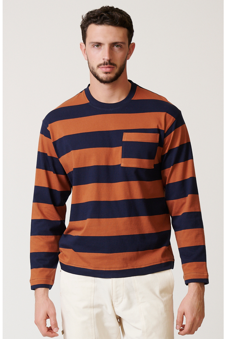 Sienna Long Sleeve Box T, Alternate, color, Sienna