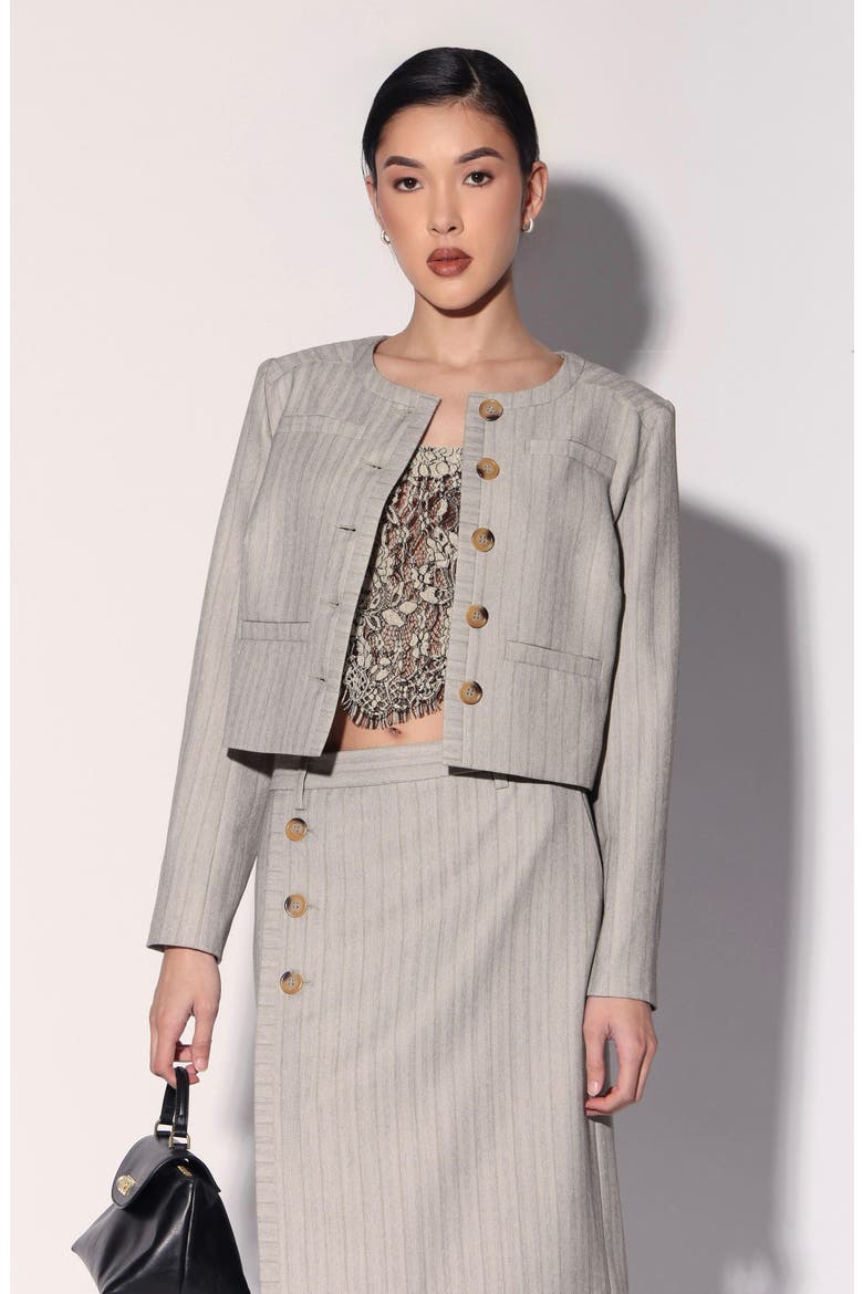Trina Pinstripe Cropped Jacket, Alternate, color, TAUPE STRIPE