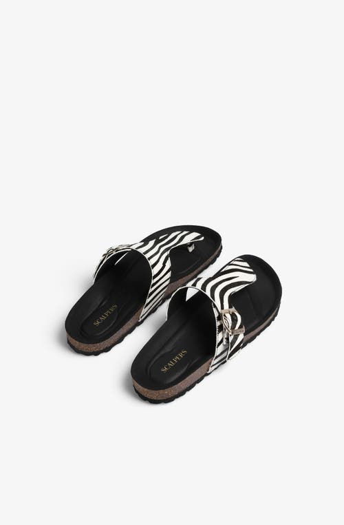 Scalpers Bio Zebra Sandal In Multi