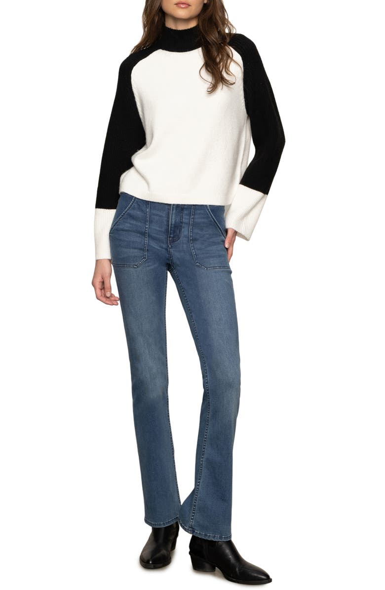 Sanctuary Downtown Colorblock Sweater, Alternate, color,