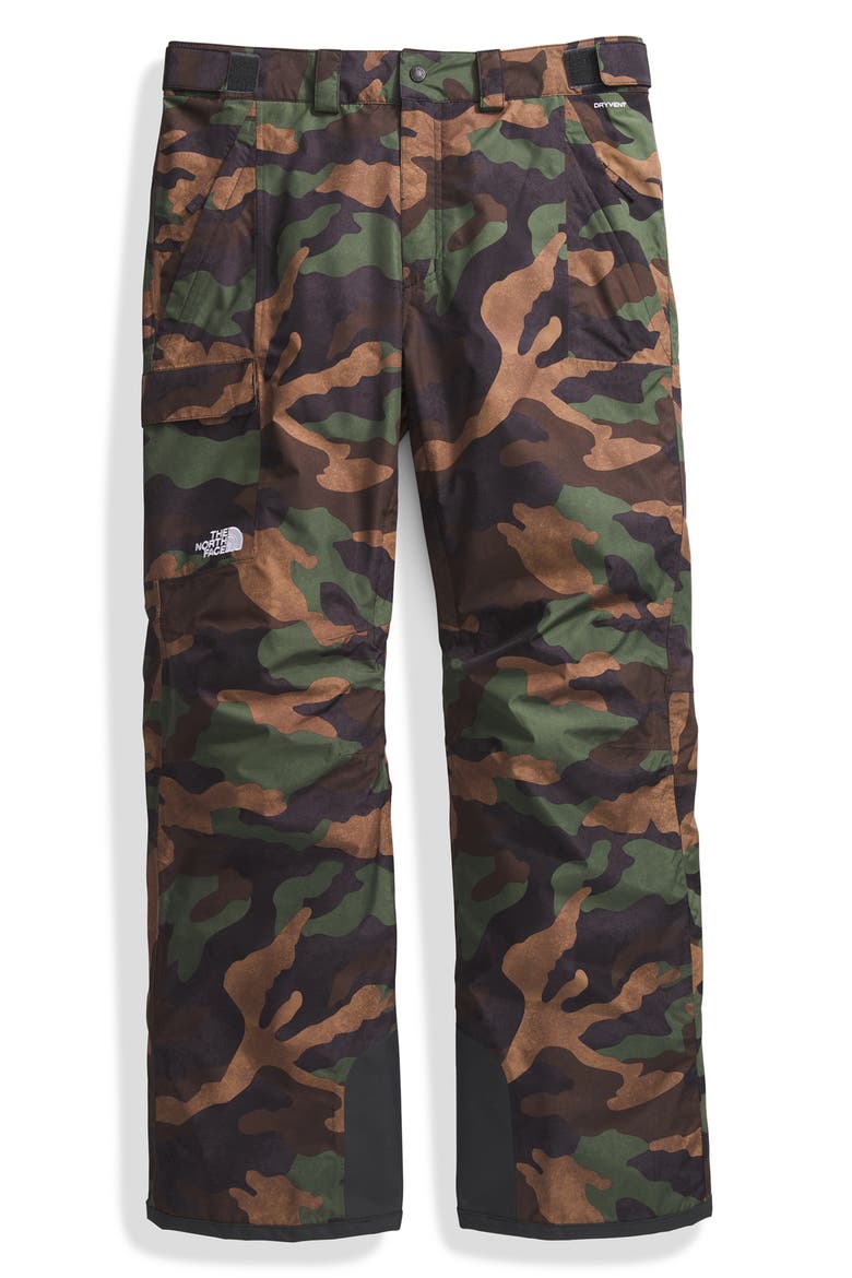 Freedom Water Repellent DryVent™ 2L Recycled Nylon Pants, Alternate, color, TNF BLACK TNF CAMO PRINT