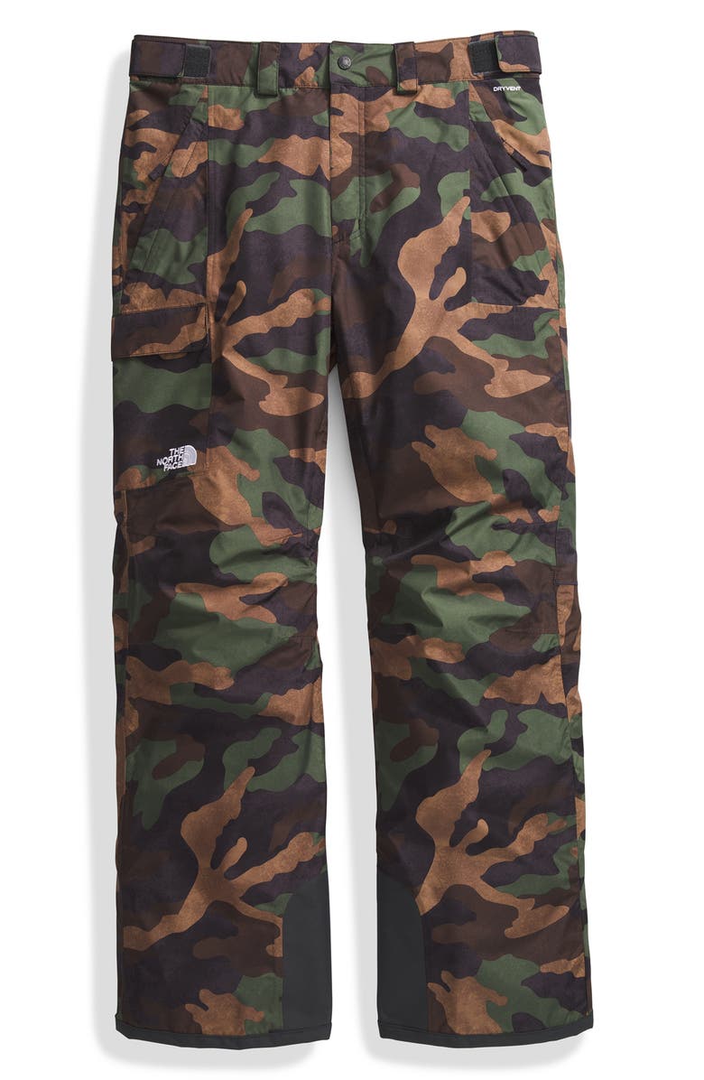 The North Face Freedom Water Repellent DryVent<sup>™</sup> 2L Recycled Nylon Pants, Alternate, color, 