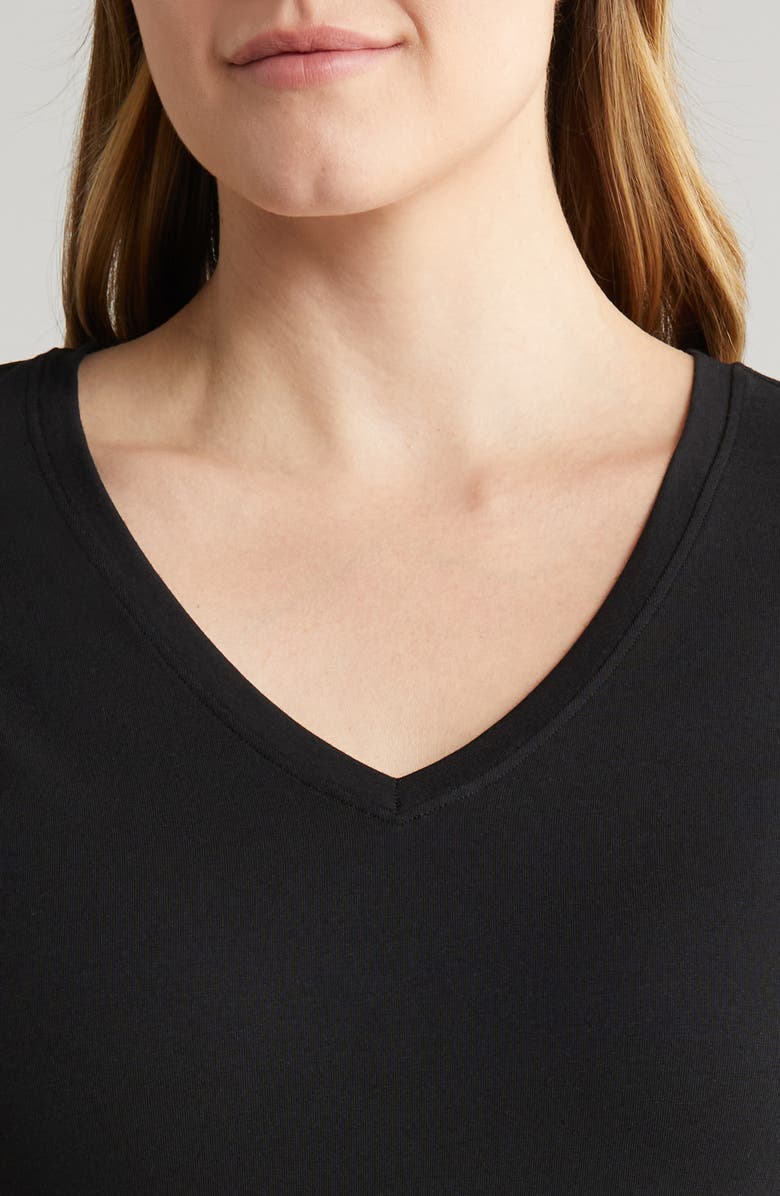 Nordstrom Everyday V-Neck Pima Cotton Blend T-Shirt, Alternate, color, 