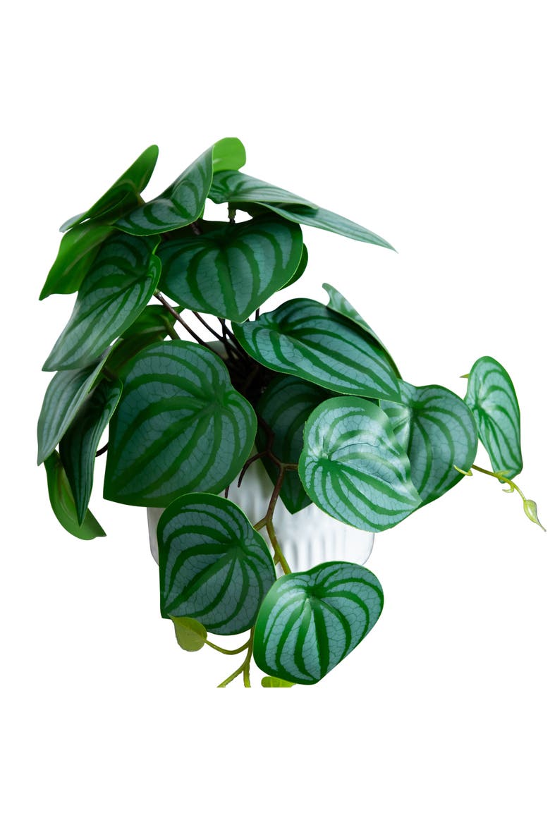 8-in Artificial Mixed Greens in Ceramic Planter- Set of 3, Alternate, color, Green