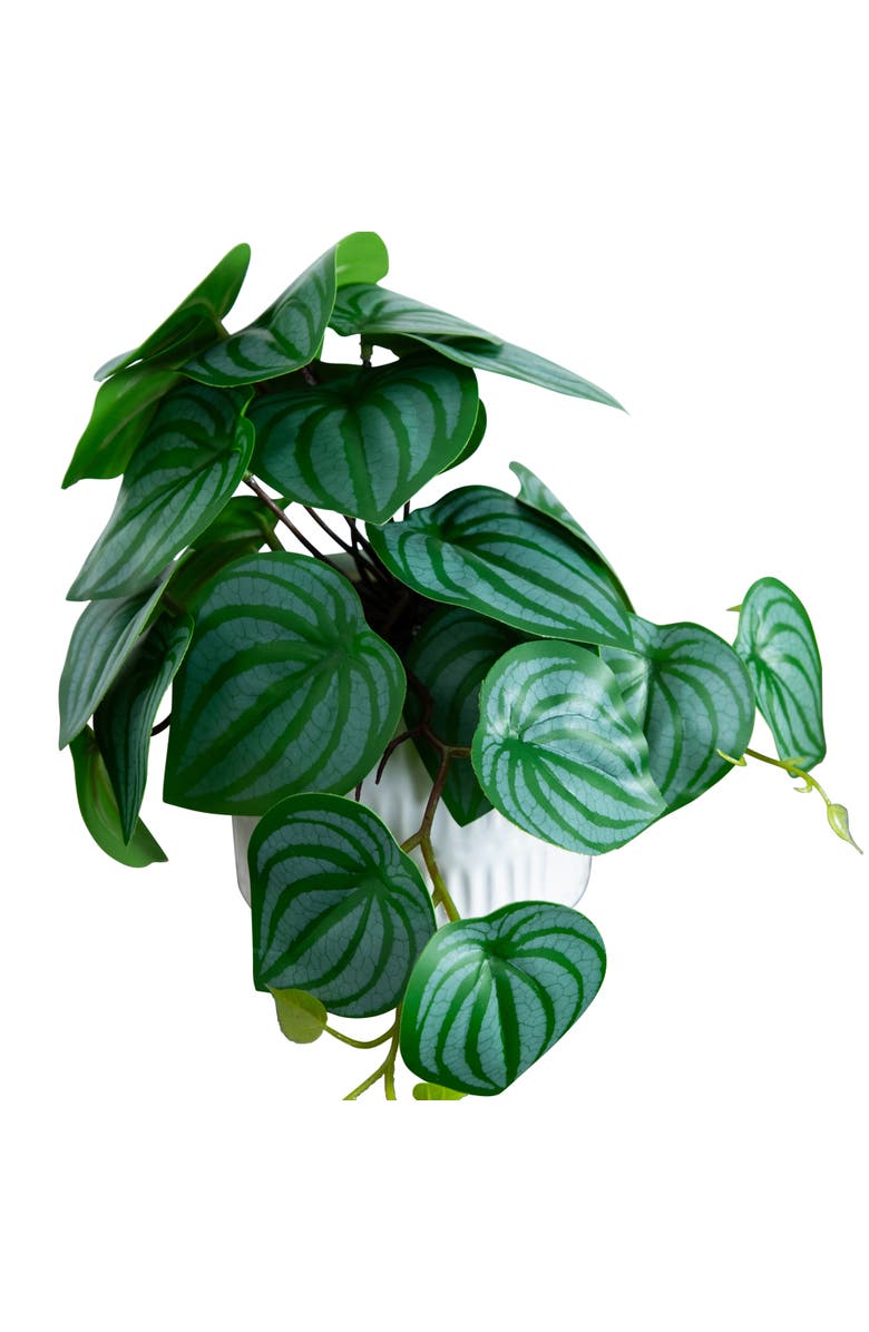 NEARLY NATURAL 8-in Artificial Mixed Greens in Ceramic Planter- Set of 3, Alternate, color, Green