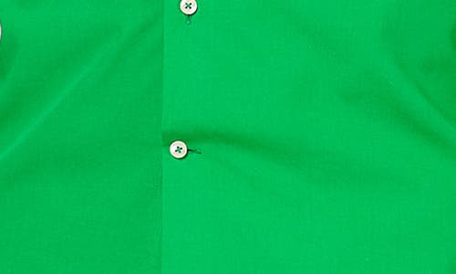 Opposuits Evergreen Solid Cotton Blend Button-up Shirt In Green