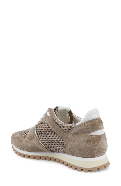 Zigi Porsh Sneaker In Multi