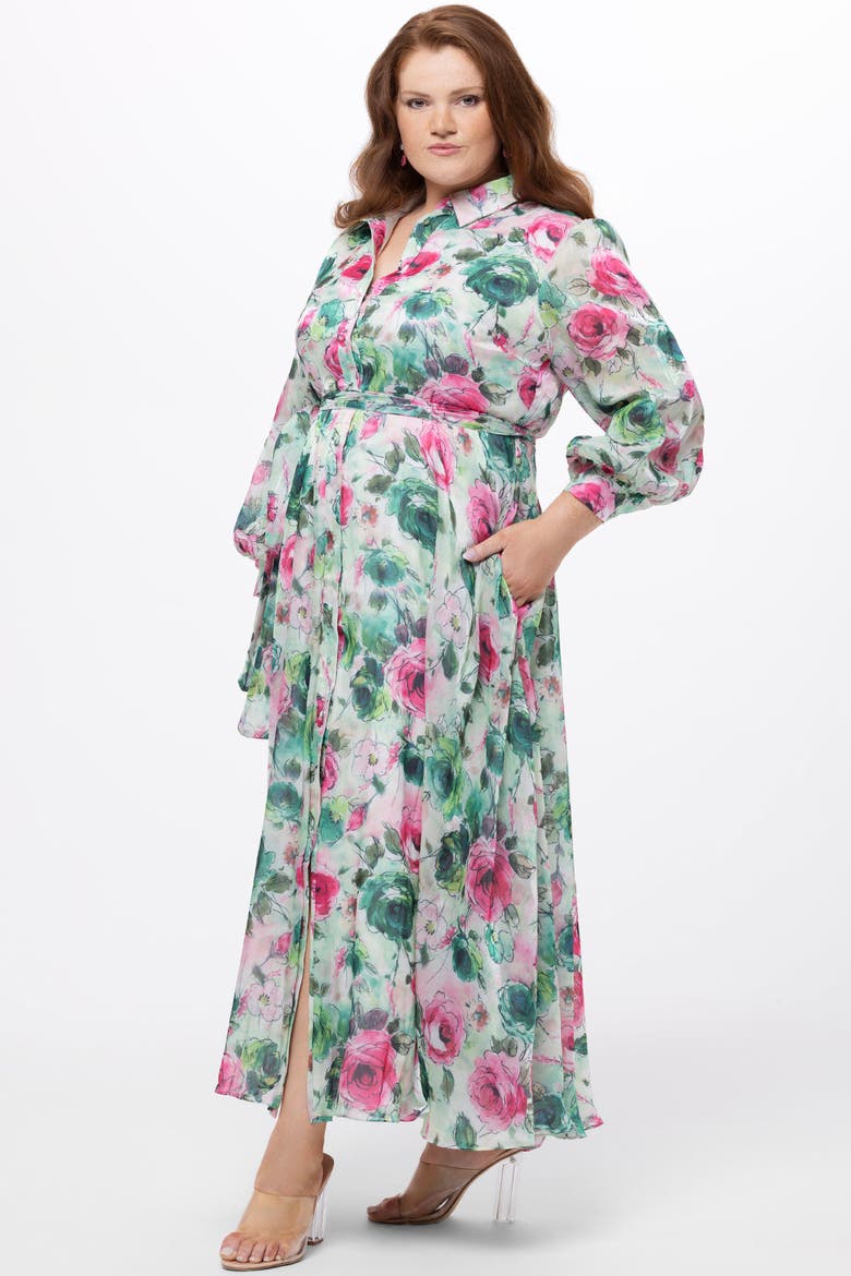 Long Sleeve Floral Button Down Plus Size Dress, Main, color, Floral