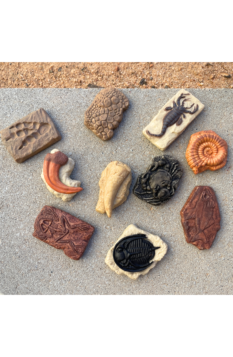 Safari Ltd. Ancient Fossils Toy, Alternate, color, NO COLOR