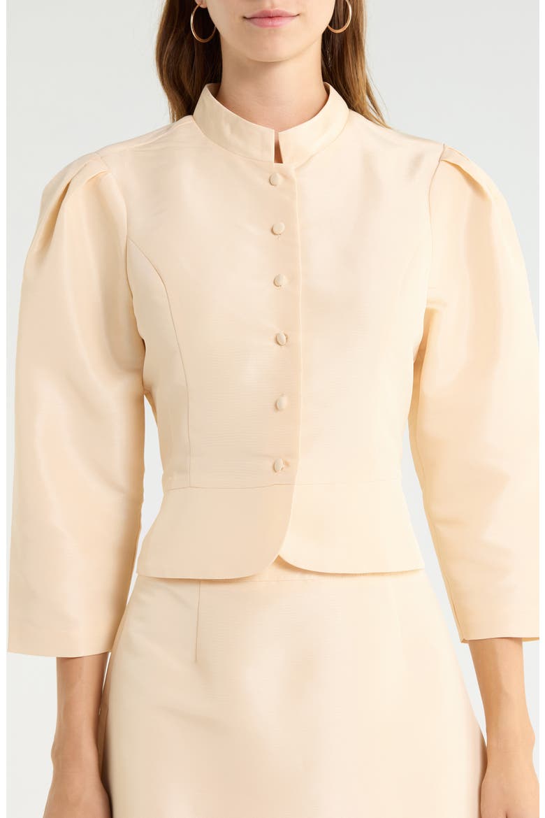 Hestia Puff Sleeve Jacket, Alternate, color, CREAM