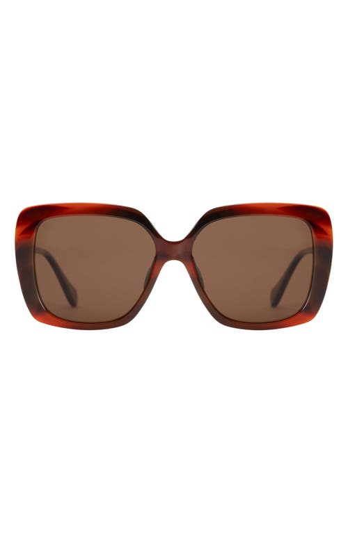 Mohala Eyewear Lani Polarized ContourBridge™ Square Sunglasses in Koa Tortoise at Nordstrom