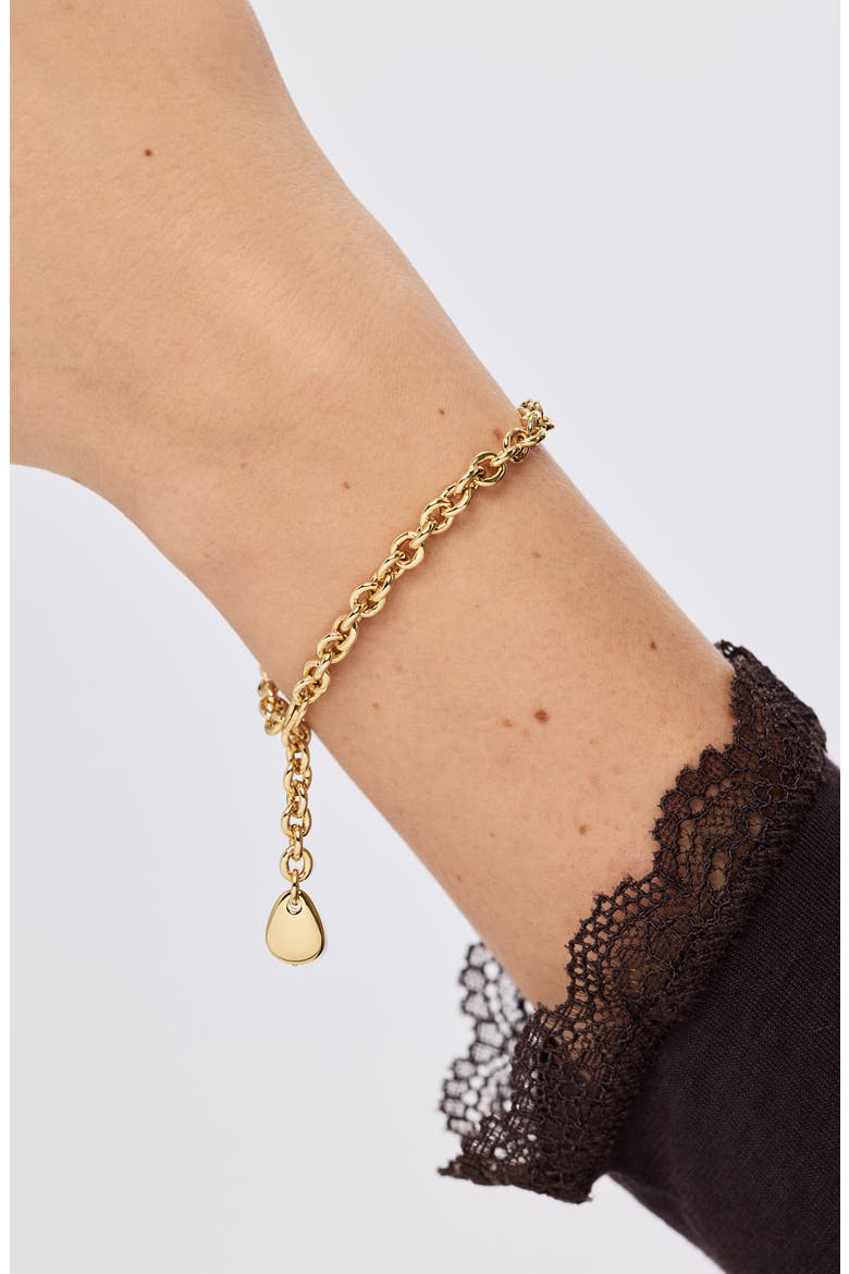 Gold Charm Bracelet - Pebble Charm Bracelet, Alternate, color, Gold
